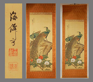 Art hand Auction [Authentic work] ■Kaisen Oda■Extensive painting of peony and peacock■Handwriting■Hanging scroll■Hanging scroll■Japanese painting■, painting, Japanese painting, flowers and birds, birds and beasts