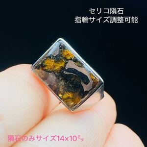 pala site meteorite ring size adjustment possibility se Rico meteorite rare stone iron meteorite meteorite high quality pala site rare high quality 