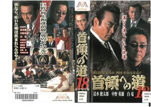 首領への道 18　清水健太郎/中野英雄/白竜　VHS