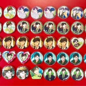 スタンドマイヒーローズ スタマイ 菅野夏樹 缶バッジ