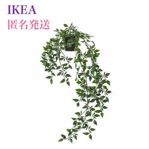 【新品】IKEA イケア フェイカ 人工観葉植物 つり下げ型9 cm フェイクグリーン 吊り下げ用の鉢や紐は付いてません。