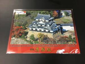 彦根城　クリアファイル A4　金亀城　現存十二天守　井伊直継　空から眺める日本の名城　