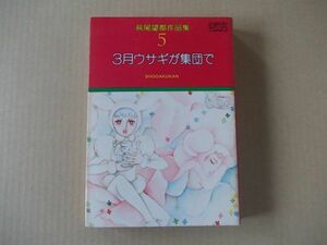 N1608　即決　萩尾望都 作品集5『3月ウサギが集団で』　小学館　プチコミックス　昭和52年【初版】