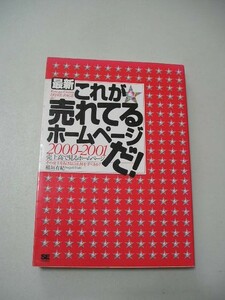 ☆最新 これが売れてるホームページだ! ～2000‐2001 売上高で見るホームページ☆