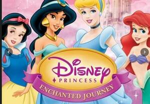  prompt decision Disney Princess: Enchanted Journey * Japanese not yet correspondence *