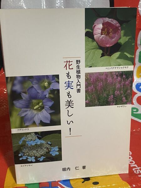 ☆初版 野生植物 入門書 花も実も美しい! 堀内仁 北海道 網走管内 丸瀬布町(遠軽町丸瀬布)