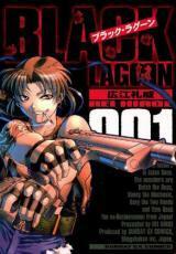 BLACK LAGOON(12冊セット)第 1～12 巻 レンタル落ち セット 中古 コミック Comic