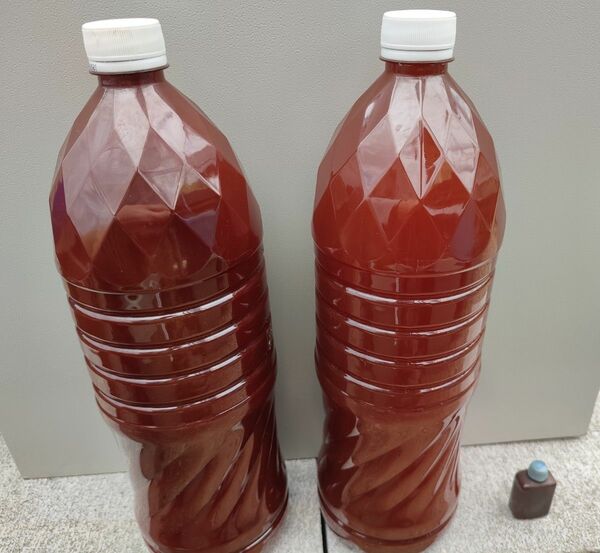 PSB4リットル(2リットルのペットボトル2本)と培養液約13ml