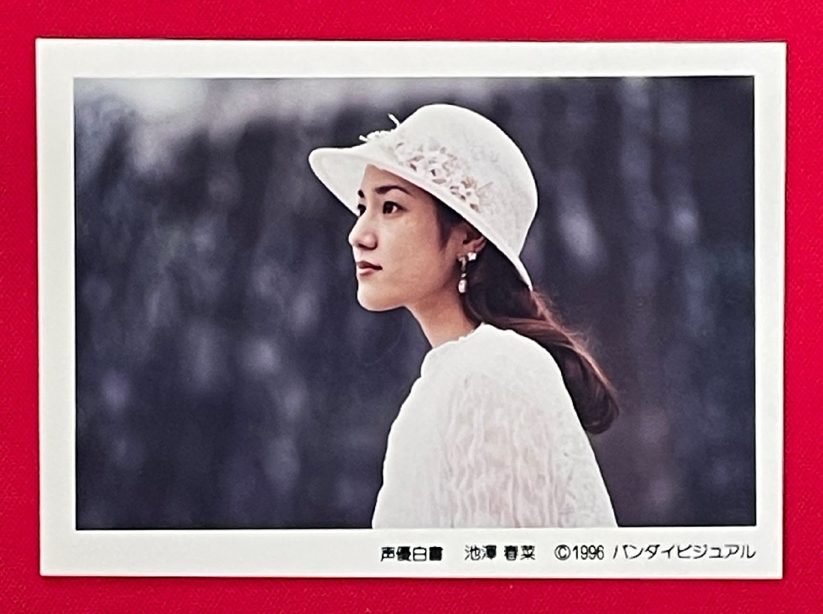 声優白書/池澤春菜 生写真 店頭特典用 バンダイビジュアル 非売品 1996年 当時モノ 希少 A13088, タレントグッズ, 写真