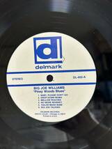 ●H434●LP レコード BIG JOE WILLIAMS/PINEY WOODS BLUES/DELMARK DL-602 ビッグ・ジョー ウィリアムズ US盤_画像5