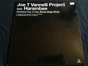 ★Joe T. Vannelli Project feat. Harambee / Sweetest Day Of May (Knee Deep Rmx) 12EP★ qsecHO1