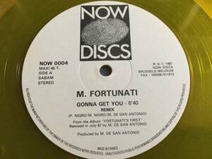 ★M. Fortunati / Gonna Get You (Remix) 12EP★ qsxg1