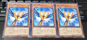 遊戯王　転生炎獣パロー　SAST　ノーマル　３枚セット　即決