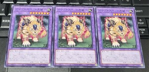 遊戯王　アマゾネスペット虎獅子　CP17　ノーマル　３枚セット　即決