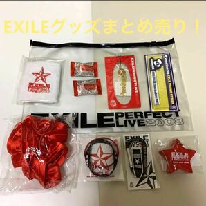 EXILE PERFECT LIVE 2008 グッズまとめ売り