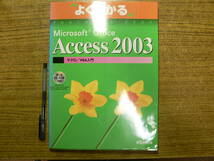 よくわかるマイクロソフトオフィスAccess2003 マクロ VBA入門 CD-ROM付_画像1