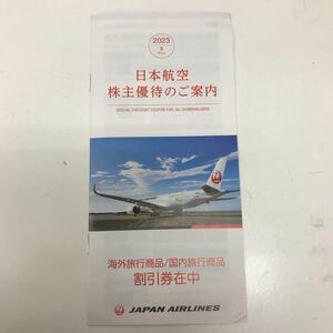 33769 0531Y JAL 日本航空 株主優待　冊子のみ