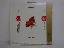 レコード 帯 とんねるず 御年賀 【 E+ 】 E4435Z_画像2