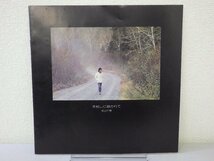 LP レコード 見本盤 非売品 松山千春 木枯らしに抱かれて【E-】E4985W_画像2