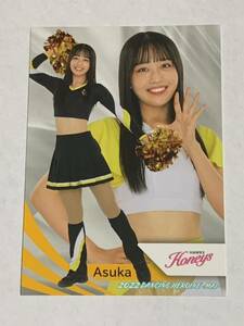 Asuka 2022 BBM チアリーダー 舞 #59 ソフトバンク Honeys やや難有り 即決