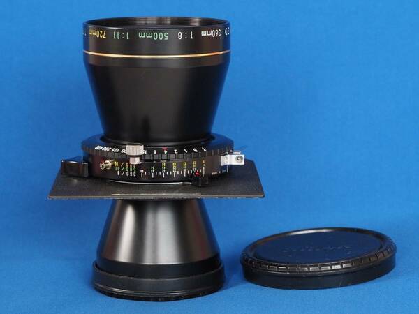 ニコンNikkor T ED 360mm／f8【極上】