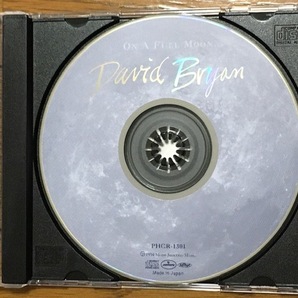 David Bryan / On a Full Moon ピアノソロ アコースティック インスト集 傑作 国内盤 廃盤CD 15曲収録 解説付 Bon Jovi / Richie Samboraの画像5