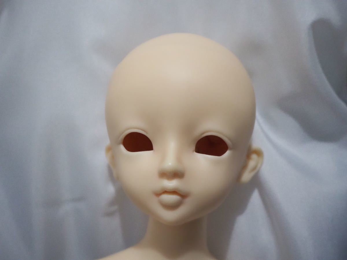 ヤフオク! -「sdm コーディネートモデル」(本体) (スーパードルフィー