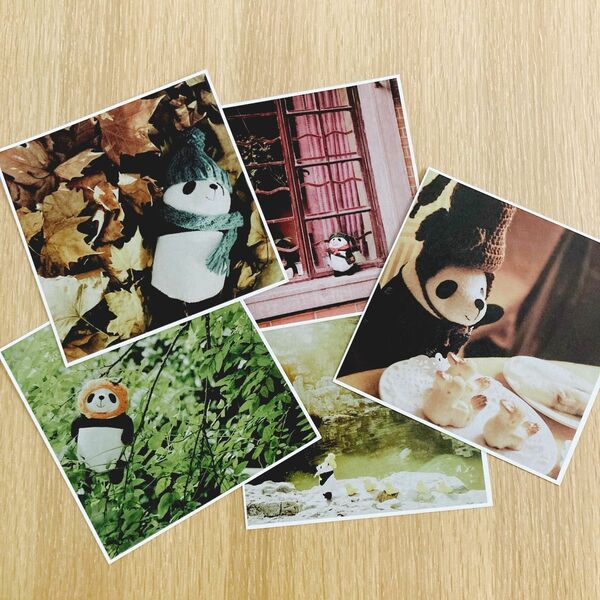 可愛いパンダのポストカード5枚