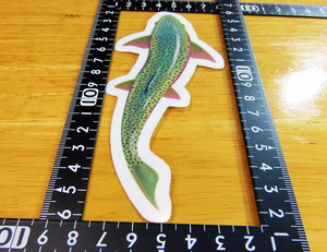  форель стикер L размер 15(cm) Trout02L [ fly шерсть игла рыбалка рыба niji форель Rainbow форель ]