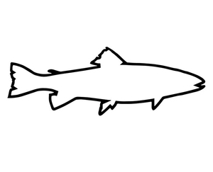 トラウト ステッカー 17×6(cm) 【Black】Trout08B　　 　[フライ 毛針 釣り 魚 フィッシング ニジマス レインボートラウト]