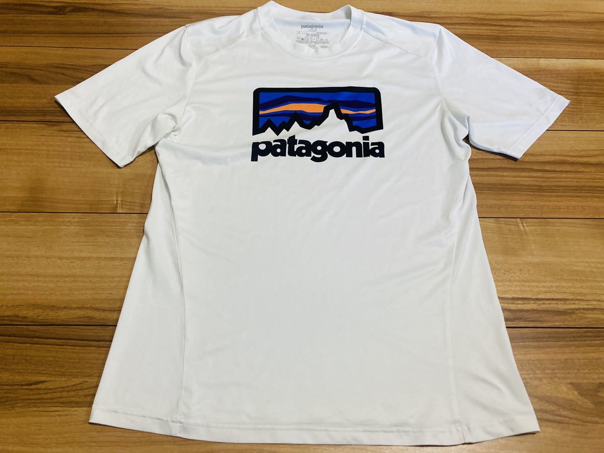 patagonia パタゴニア p6 キャプリーン ヴィンテージキャプリーン Tシャツ 刺繍ロゴ ２００３年製 ＵＳＡ製 ブルー Ｍサイズ  JChere雅虎拍卖代购