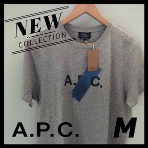 【希少】A.P.C. アーペーセー Tシャツ　ペイントロゴ　M Shibuya SHIBA 半袖Tシャツ