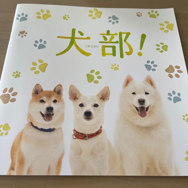 犬部! 映画パンフレット リーフ 中川大志