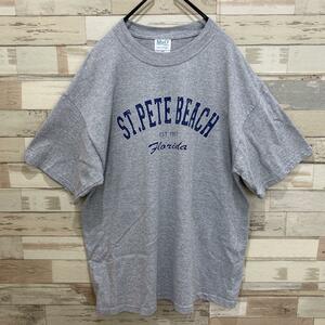 US古着 カレッジTシャツ アメカジ Lサイズ メンズ レディース グレー