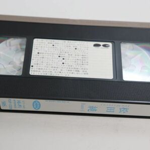 ■ビデオ■ＶＨＳ■ＢａｂｙＪ■松田 純■中古■の画像6