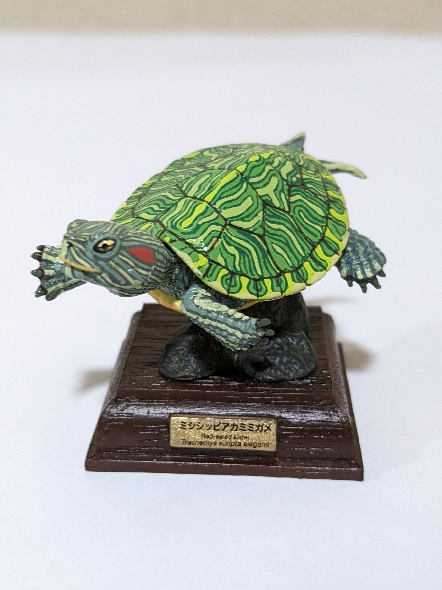 ヤフオク! -「ミシシッピアカミミガメ」(フィギュア) の落札相場・落札価格
