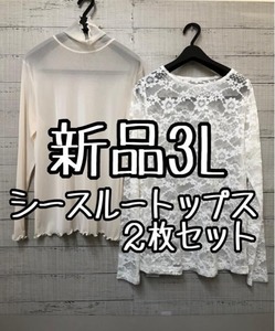 新品☆3L♪白系♪総レース＆シアー♪透け感シースルートップス2枚セット♪☆s909