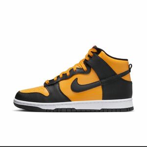 NIKE DUNK HIGH RETRO 28cm 黒の紐付き防水スプレー済みスニーカー保護フィルム鑑賞用ラップ付きです