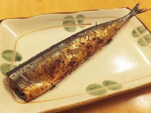 pili. san .3 tail ×5 pack san . saury autumn sword fish pili.. fish roasting fish side dish san .pili. san . roasting roasting san .[ water production f-z]