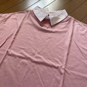 【SPINNS】襟付きTシャツ/スピンズ