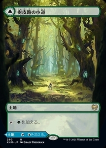 MTG ■土地/日本語版■ 《樹皮路の小道/Barkchannel Pathway》▲拡張アート▲カルドハイム　KHM