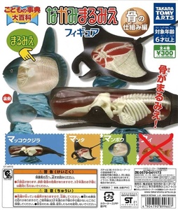 ガチャガチャ商品　送料込み　こども事典大百科　なかみまるみえフィギュア　骨の仕組み編　3種（タイ無し）