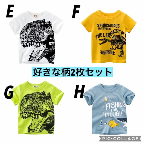 男の子半袖Tシャツ　2枚組　新品　恐竜　サメ柄　