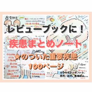 【レビューブックに！】国試頻出！疾患まとめノート100項目