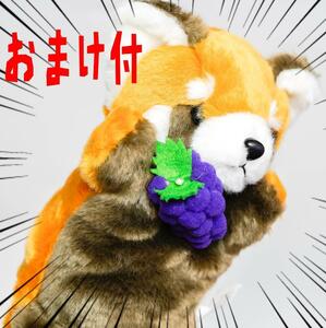  puppet racoon la Skull raccoon soft toy [ fruit attaching ]