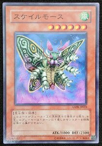 スケイルモース ANPR-JP023 遊戯王OCG ANCIENT PROPHECY