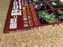 自然と野生ラン 2013年9月号　富貴蘭 春蘭 エビネ ※ 園芸JAPAN_画像5