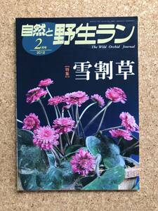 自然と野生ラン 2012年2月号　雪割草 富貴蘭 ※ 園芸JAPAN