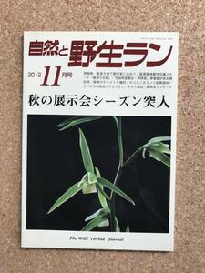  природа .. сырой Ran 2012 год 11 месяц номер богатство и знатность орхидея весна орхидея утро лицо лисица nokami санки uchou Ran o Moto * садоводство JAPAN