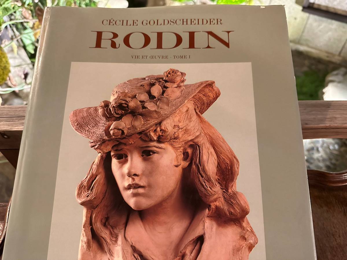 Rare Art Book Auguste Rodin Volume 1 18401886 Cecil Goldscheider French Sold Out!, painting, Art book, Collection of works, Art book